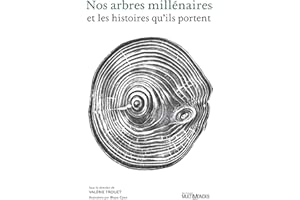 Nos arbres millénaires et les histoires qu'ils portent