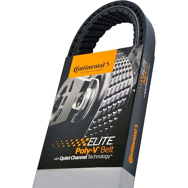 Amazon.com: Continental OE Technology Series 4050609 5-Rib, 60.9  