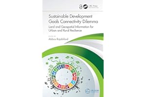 Sustainable Development Goals Connectivity Dilemma: Land and Geospatial Information for Urban and Rural Resilience