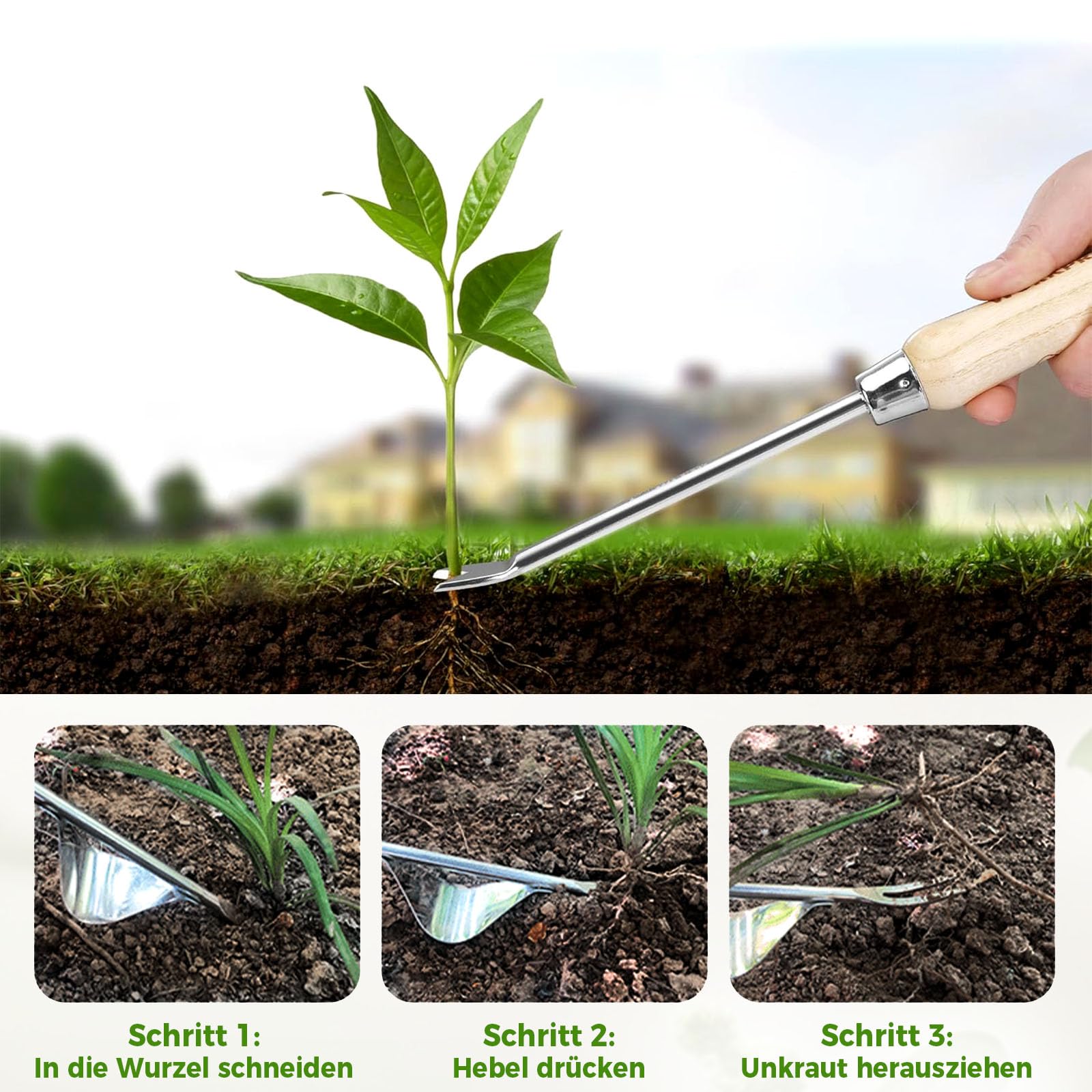 Generisch Unkrautentferner Länge 30cm, 2026 Neu Wurzeljäter mit Holzgriff, Unkrautstecher Edelstahl, 2-in-1 Unkrautrechen und Gartenhacke, Garden Hand Weeder zum Graben, Jäten, Lösen (1PC) 6