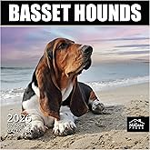 MICASA PRESS Basset Hounds 2026 Wall Calendar 12 Month | 12" x 24" Open | Thick & Sturdy Paper | Holiday Gift | Cute Puppy Dog Calendar 2026