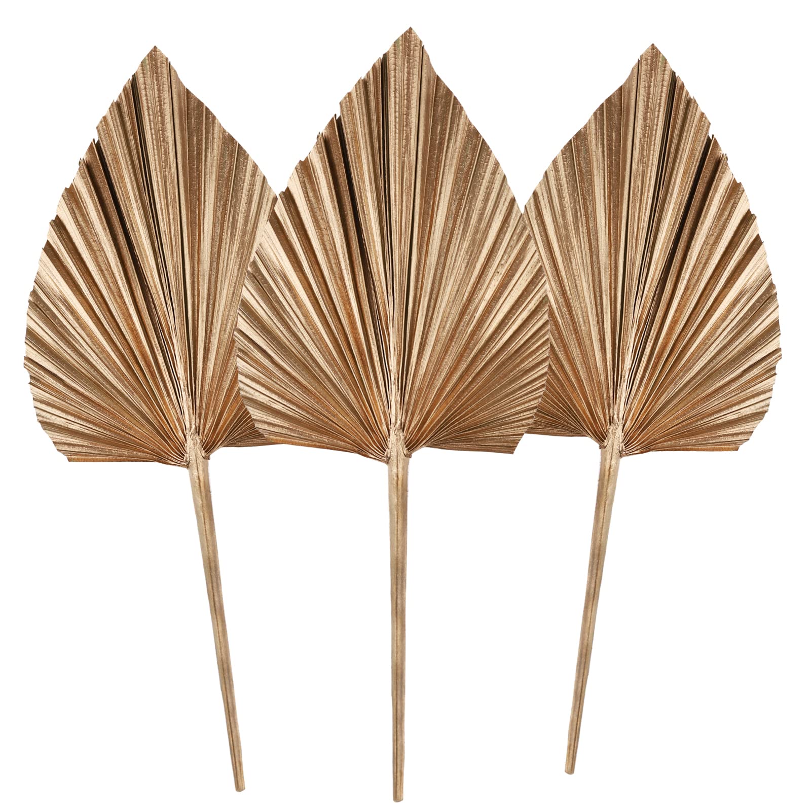 3Pcs Dried Palm Leaves,Natural Dried Palm Spears,Small Dried Palm Fan Colour Palm Spears Plant with Stem Boho Home, Party ,Wedding,Wall,Cake ,Decorating,DIY bouquet Arrangement