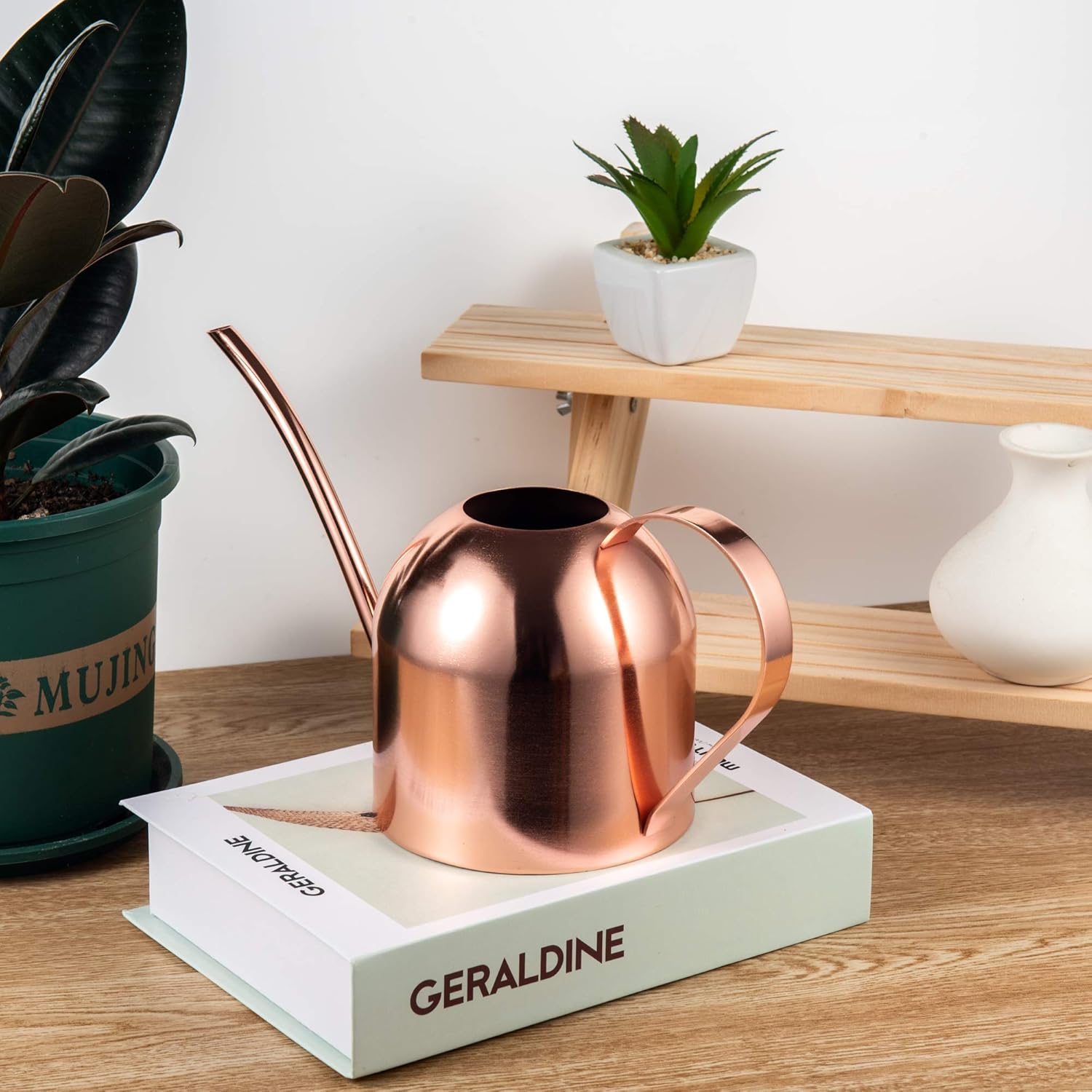 IMEEA 900ml Indoor Watering Can Stainless Steel Water Can with Long Spout for House Plants(Rose Gold), 33oz/1000ml - Image 5