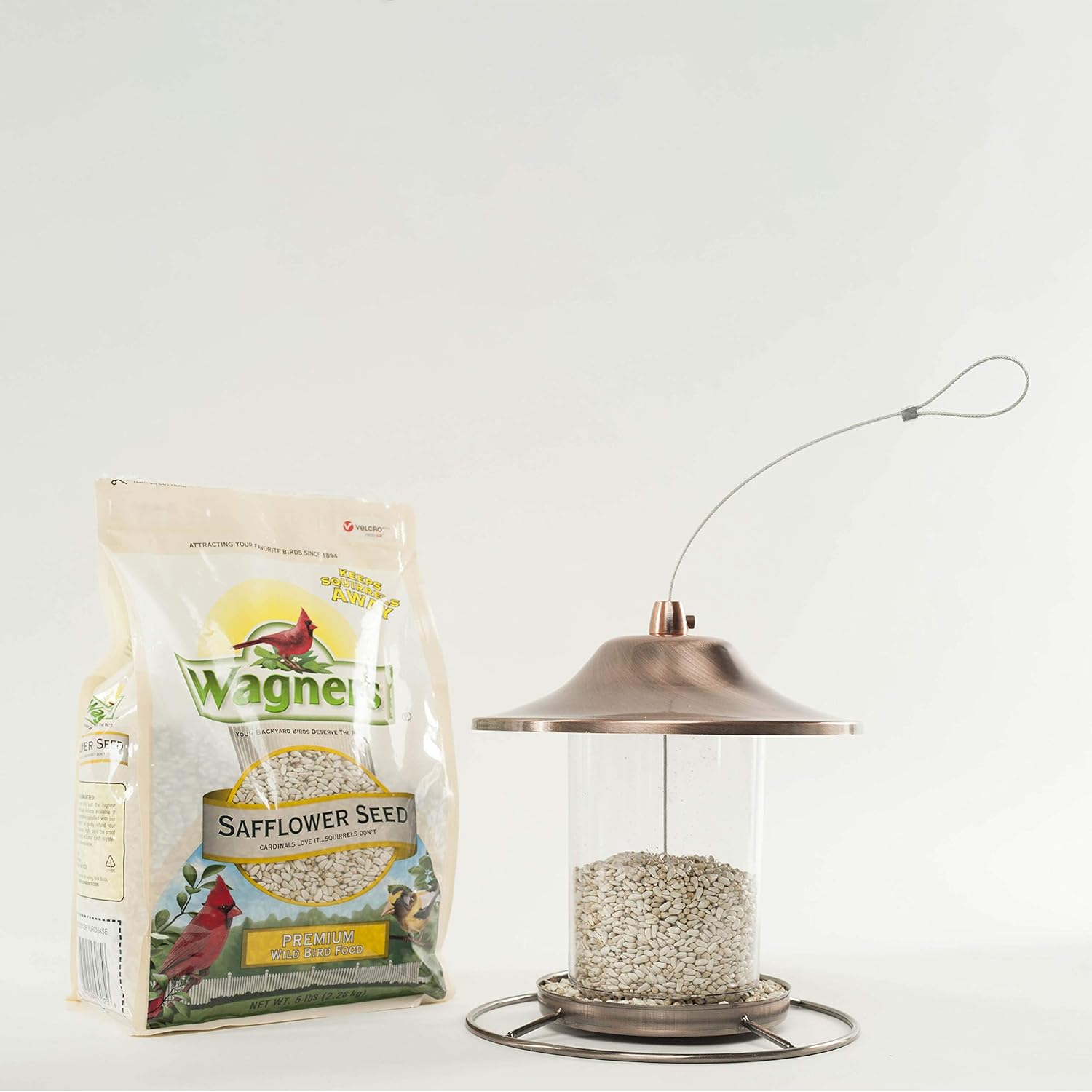 Wagner's 57075 Safflower Seed Wild Bird Food, 5-Pound Bag : Wild Bird Birdseed : Garden & Outdoor