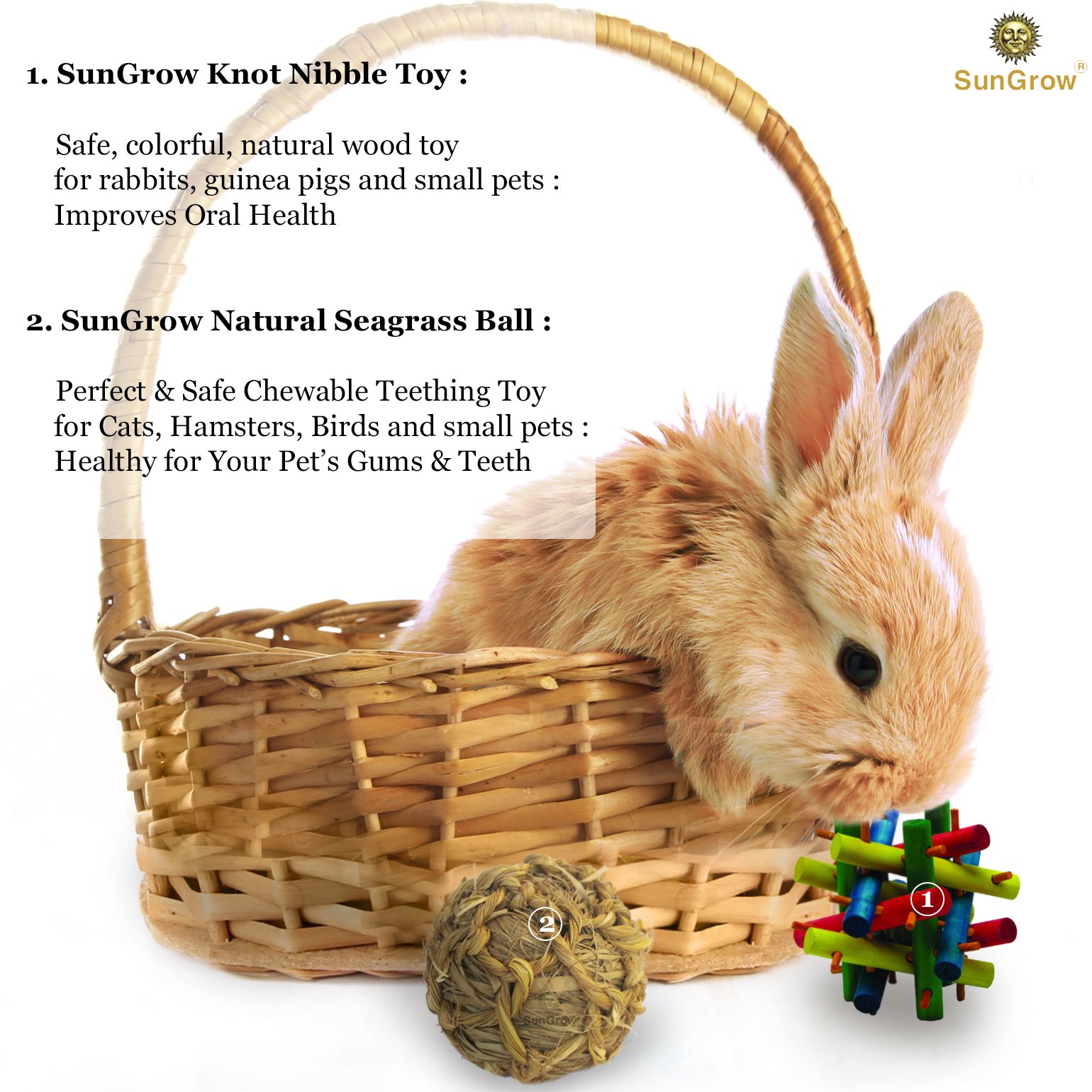 SunGrow Rabbit Wood Knot Nibble Toy: Suitable for Play and Chewing: Bright Colors: Natural Vegetable Dye: Provides stimulation & entertainment: For Rabbits, Guinea pigs & Chinchillas