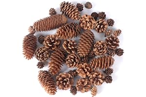JOHOUSE 40PCS Natural Pine Cones Bulk, Pinecones Decorations Pine Cone Ornaments for Crafts Thanksgiving Christmas Wreath Table Bowl Decor, Winter Vase Filler