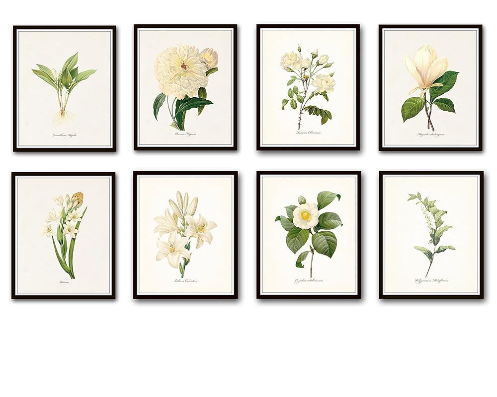 Botanical Home Decor Floral Print Set Vintage Flowers Print Kitchen Wall Art Print French Jardin Flower Garden Illustration Kitchen Prints Art Collectibles Vadel Com
