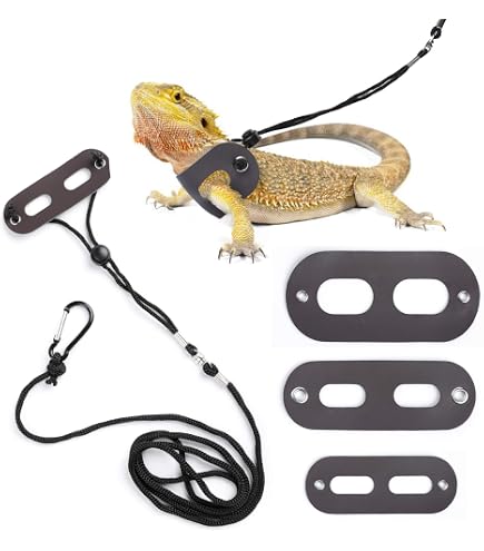 Aazon.co : ADOGGYGO Bearded Dragon Lizard Leash Harness