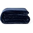 Reafort Ultra Soft Flannel Fleece Royal Plush Velvet Lightweight Living Room/Bedroom Warm Blanket (Blue, Throw 50"x60")