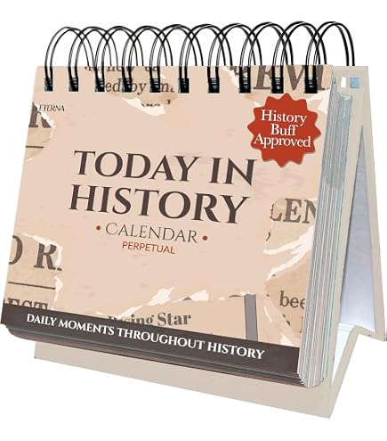 Amazon.com : ENSKY CL-074 Chiikawa 2024 Desk Calendar, Wall