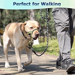 BARKLESS Muzzle Leash for Heavy Pullers, No Pull