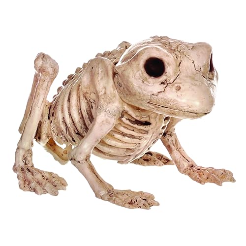 Skeleton Animals: Amazon.com