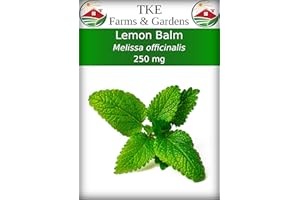 TKE Farms & Gardens - Lemon Balm Seeds for Planting, 250Mg, 300+ Heirloom, Non-GMO Seeds, Instructions Included to Grow This Fragrant Medicinal Herb, Melissa officinalis, Qty 1