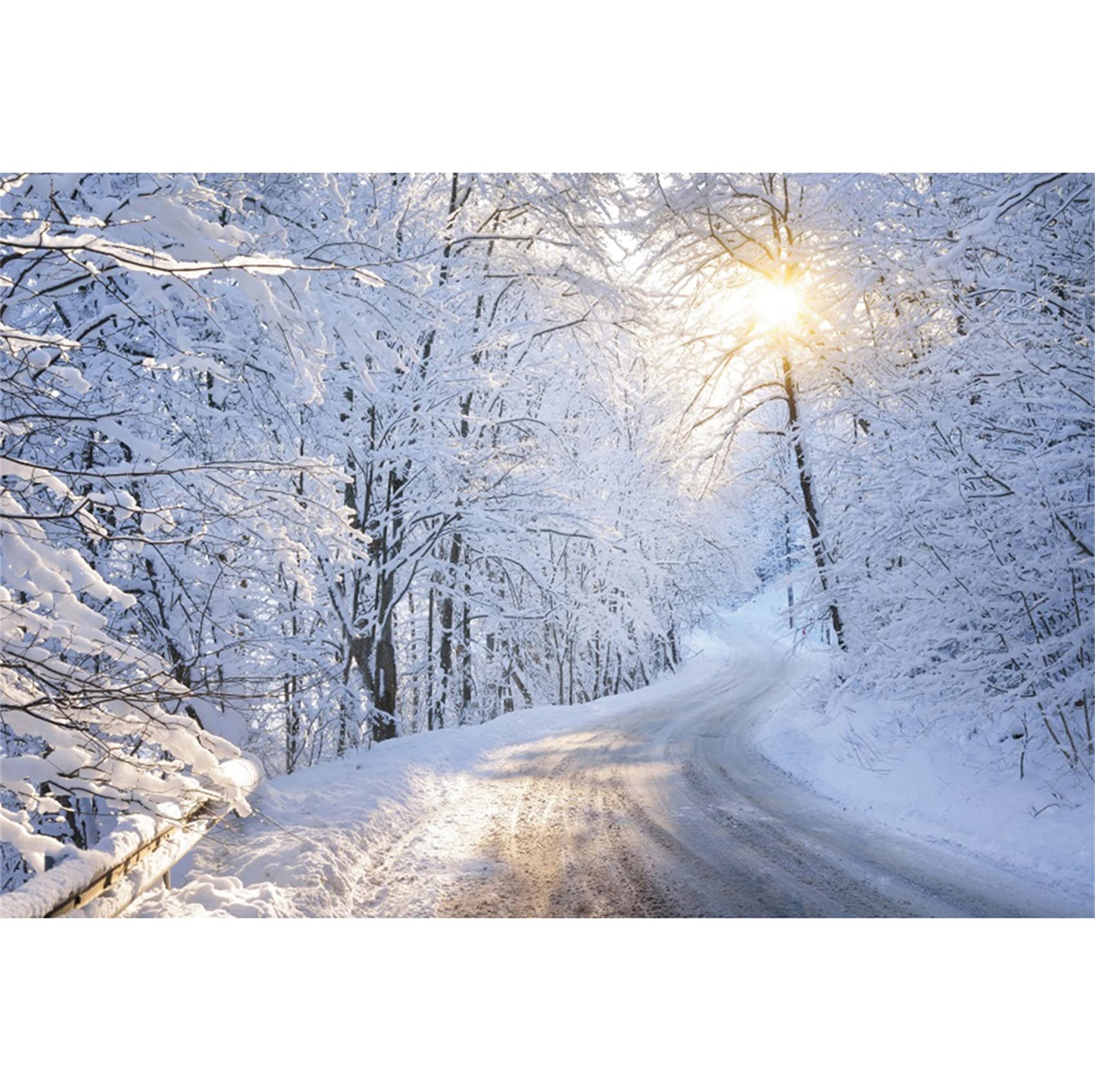 Ttincceer Forest Snow Backdrop 10x8ft Winter Sunshine Snowy Scene Background Christmas 3D Outdoor Snow Trail Photography Background for Photoshoot New Year Party Decor