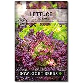 Sow Right Seeds - Lolla Rosa Lettuce Seed for Planting Vegetable Garden | Plant cold hardy loose leaf non-GMO heirloom outdoors or indoor hydroponic gardening. Grow vibrant greens in spring or fall.