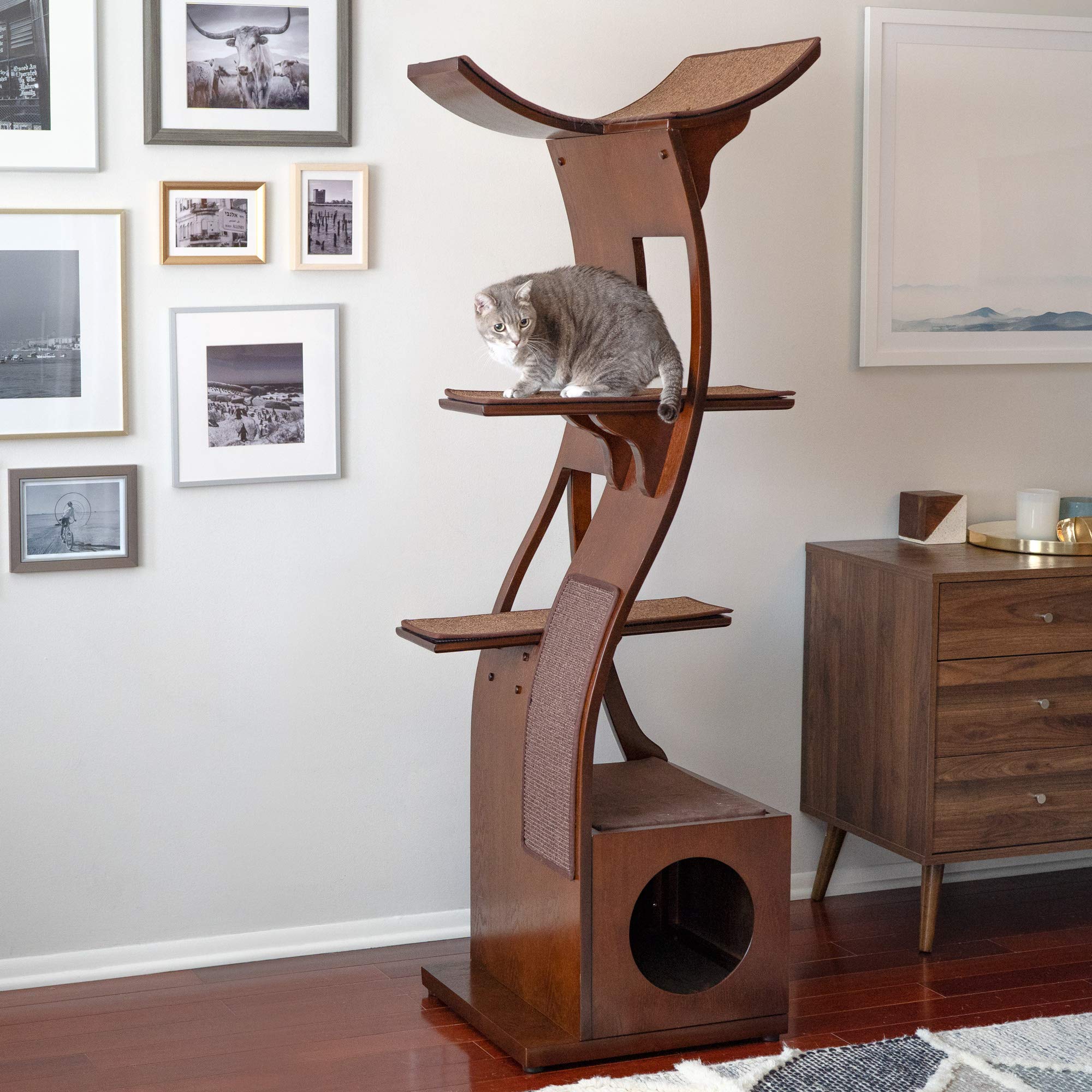 THE REFINED FELINE 69 Inch Tall Mahogany Brown