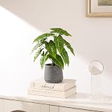 LUWENER Fake Plant Sea Taro Leaves in Grey Pot 13 Inches Tall view 7