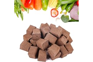 SIETAMIS 50 Packs Cuttage Grow Sponges, Pods Root Growth Sponge Eco Friendly PH Balance, Square Sponge Replacement Part Seedling Starter Sponges for Hydroponic Indoor Garden System Cuttage Rooting