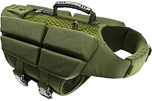 NOAH & PAW Dog Life Jacket, Human Standards Lifejacket Design, Dog Life Vest for Swimming and Boating, 3X Foam Support for Max Floating, Breathable Mesh, Salvavidas para Perros, Size L