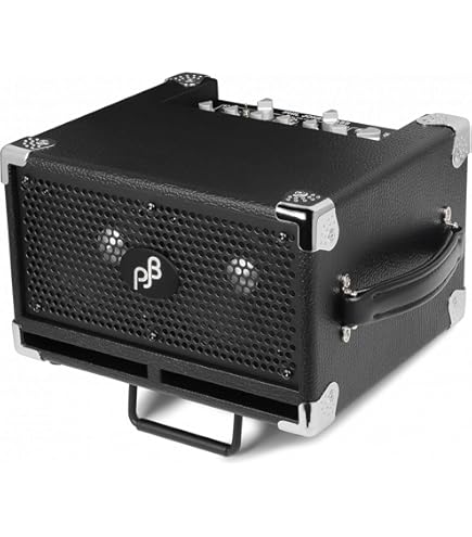 Amazon.com: Phil Jones Bass X4C Nanobass 35-watt Multi-Instrument