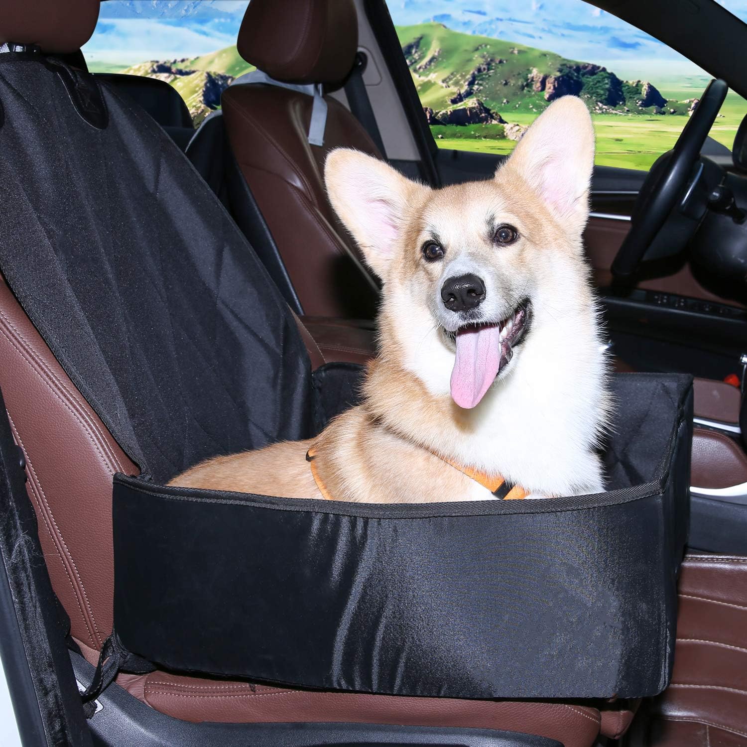 Best pet car booster seat cover