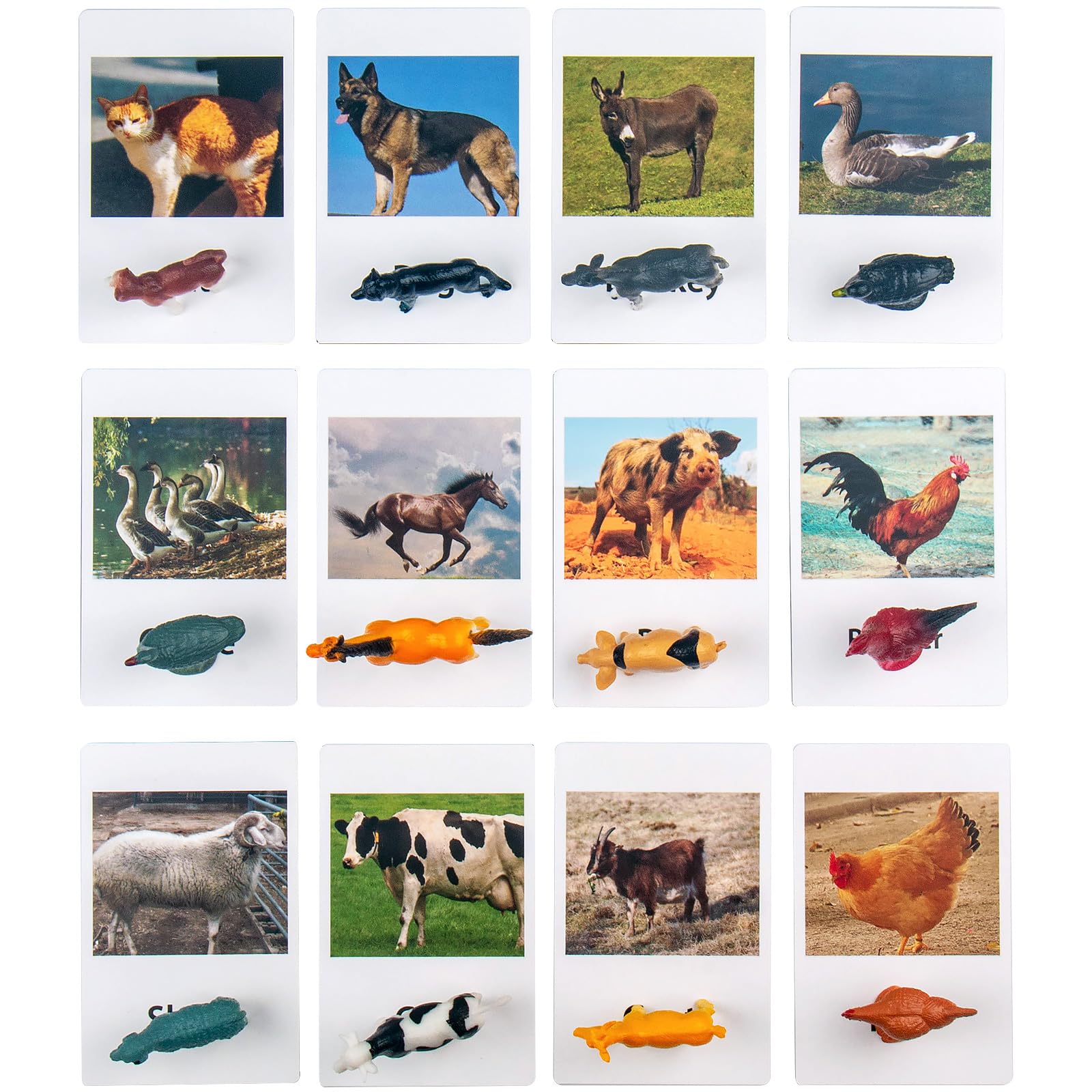 MEROCO Montessori Animal Match Cards - Miniature Poultry Animals with Matching Card - 2 Part Cards. Montessori Learning Toy, Language Materials TZX106