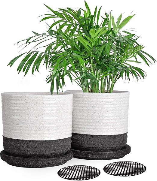 Ceramic Planters Pots with Drainage Hole and