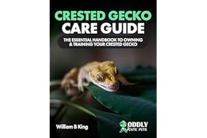 Crested Gecko Care Guide: The Essential Handbook To Owning & Training Your Crested Gecko