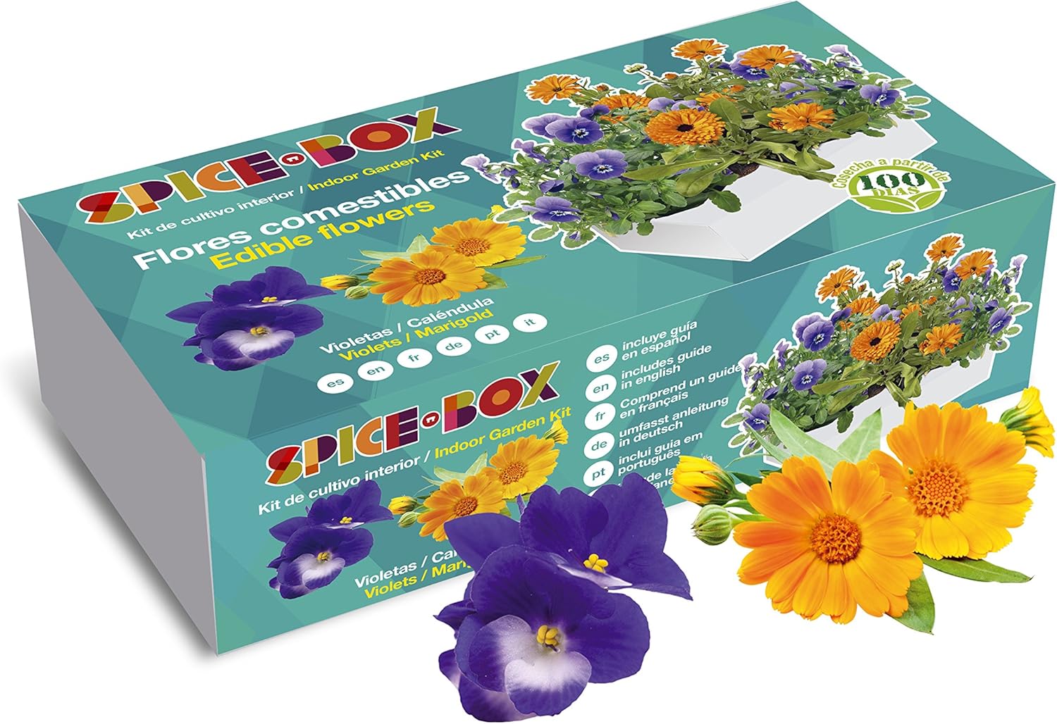 SeedBox PGSPFC Spicebox Flores comestibles, 9x5x23 cm: Amazon.es ...