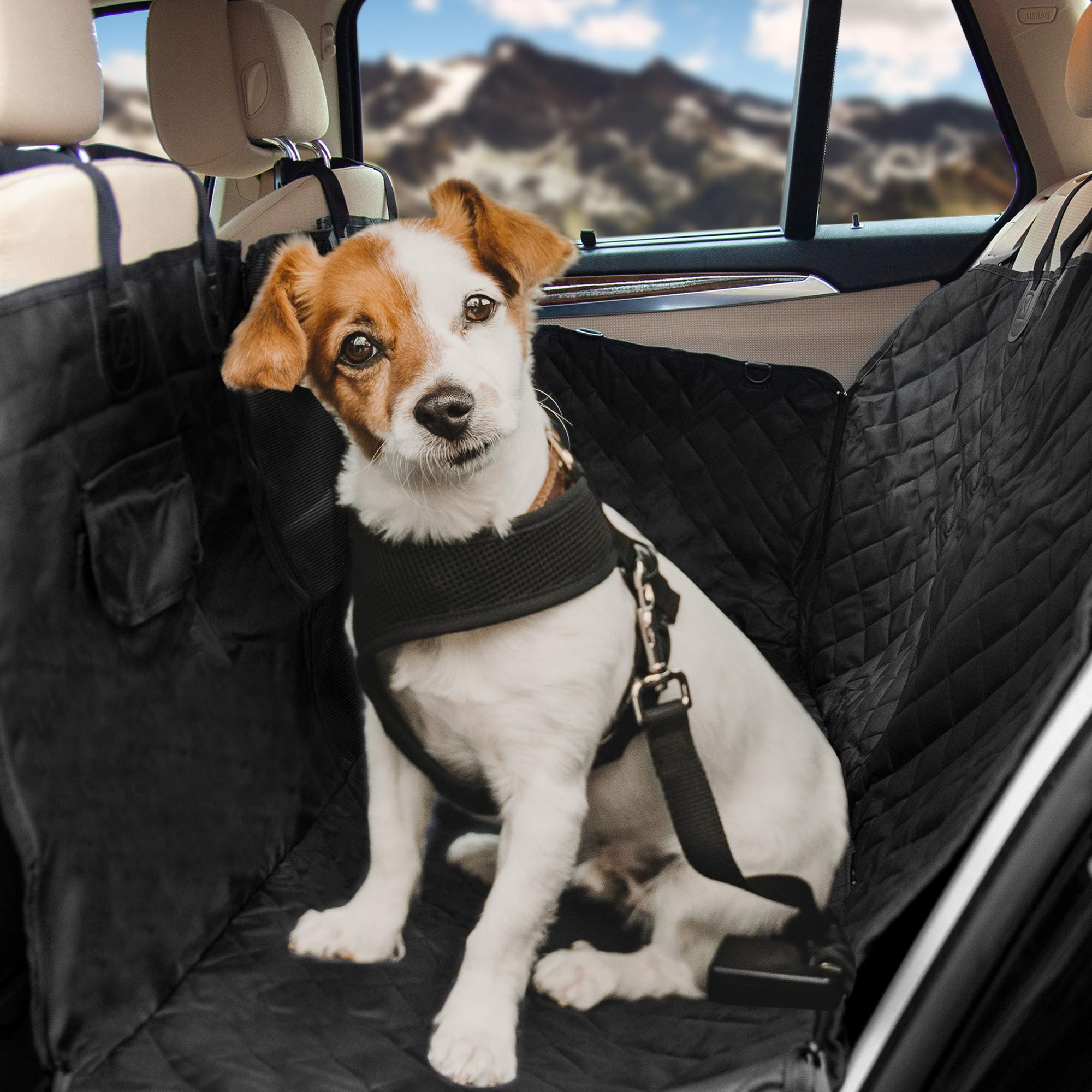 HundeHero ® Dog Blanket 137 x 147 cm – [1x] Dog Blanket Car Rear Seat with [2X] Attachment for Handles – with Viewing Window – Includes Storage Bag & Buckle – Water & Dirt-Repellent