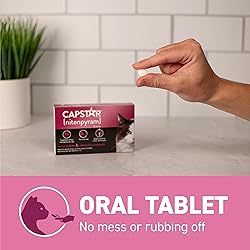 Capstar (nitenpyram) Cat Flea