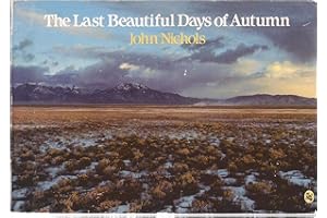 The Last Beautiful Days of Autumn