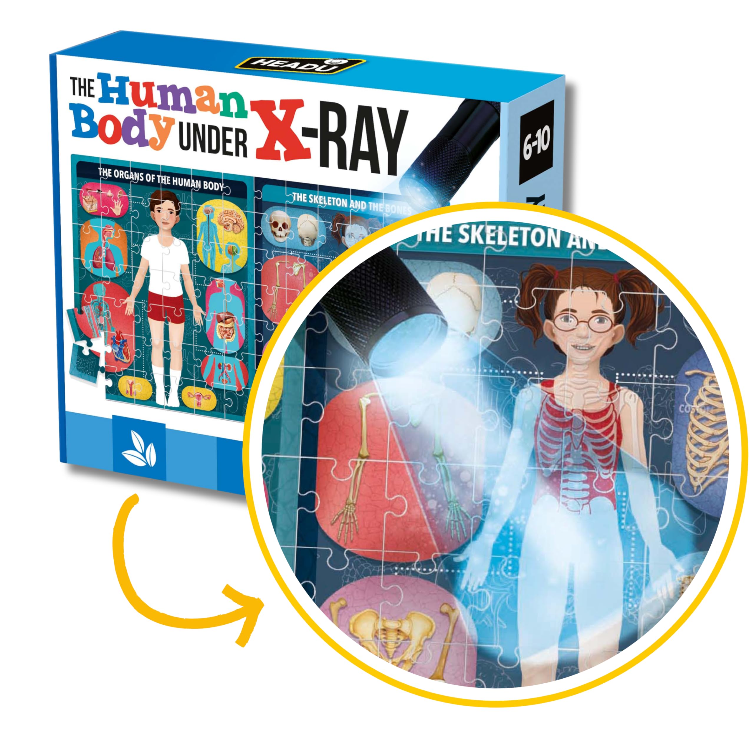 HEADU | The Human Body Under X-Ray - assemble the puzzle and learn about the human body | Educational Games & Puzzles | Ages 6-10 years