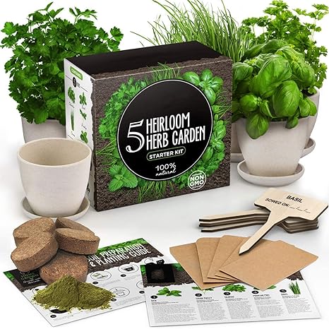 Amazon Co Jp 屋内ハーブガーデンスターターキット ハーブシードガーデニングキット植木鉢と培養土 Diyホームシードスターター成長植物キット ホーム キッチン
