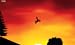 Shadow Biker HD