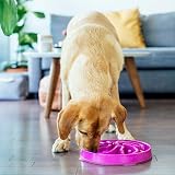 Outward Hound Slow Feeder Dog Bowl Large Purple – Non-Slip, Dishwasher Safe view 6