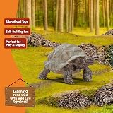 Schleich Giant Tortoise Figurine Realistic Galapagos Turtle Wildlife view 3