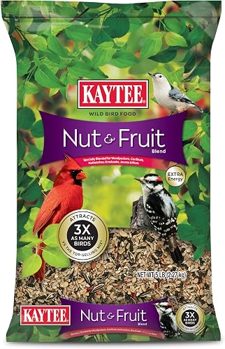 Kaytee Nut & Fruit semilla de ave silvestre, 5 lb — Aves y silvestres