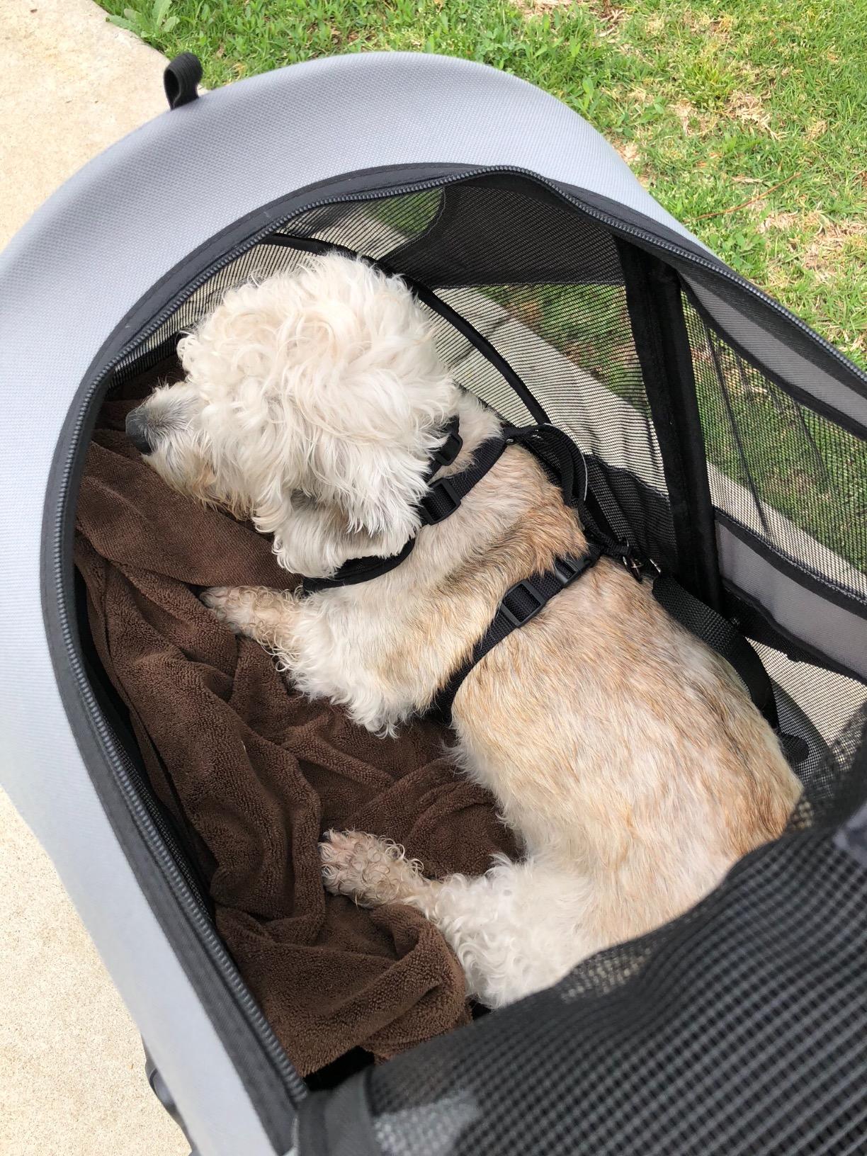 33/mo Finance Pet Gear NOZip Pet Stroller with Dual Entry, Push