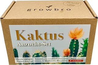growbro Kaktus, Anzuchtset inkl. Sprühflasche, Geburtstagsgeschenk, Sukkulenten, Geschenke für Frauen & Männer, Gastgeschenk, Zimmerpflanzen, Cactus (Kaktus)