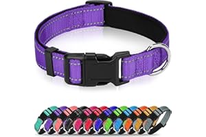 Erbine Reflective Dog Collar, Soft Neoprene Padded Nylon Pet Collar with Quick-Release Buckle, Adjustable for Large Dogs,Purple,L