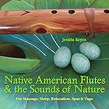 Native American Flutes & Sounds Of Nature