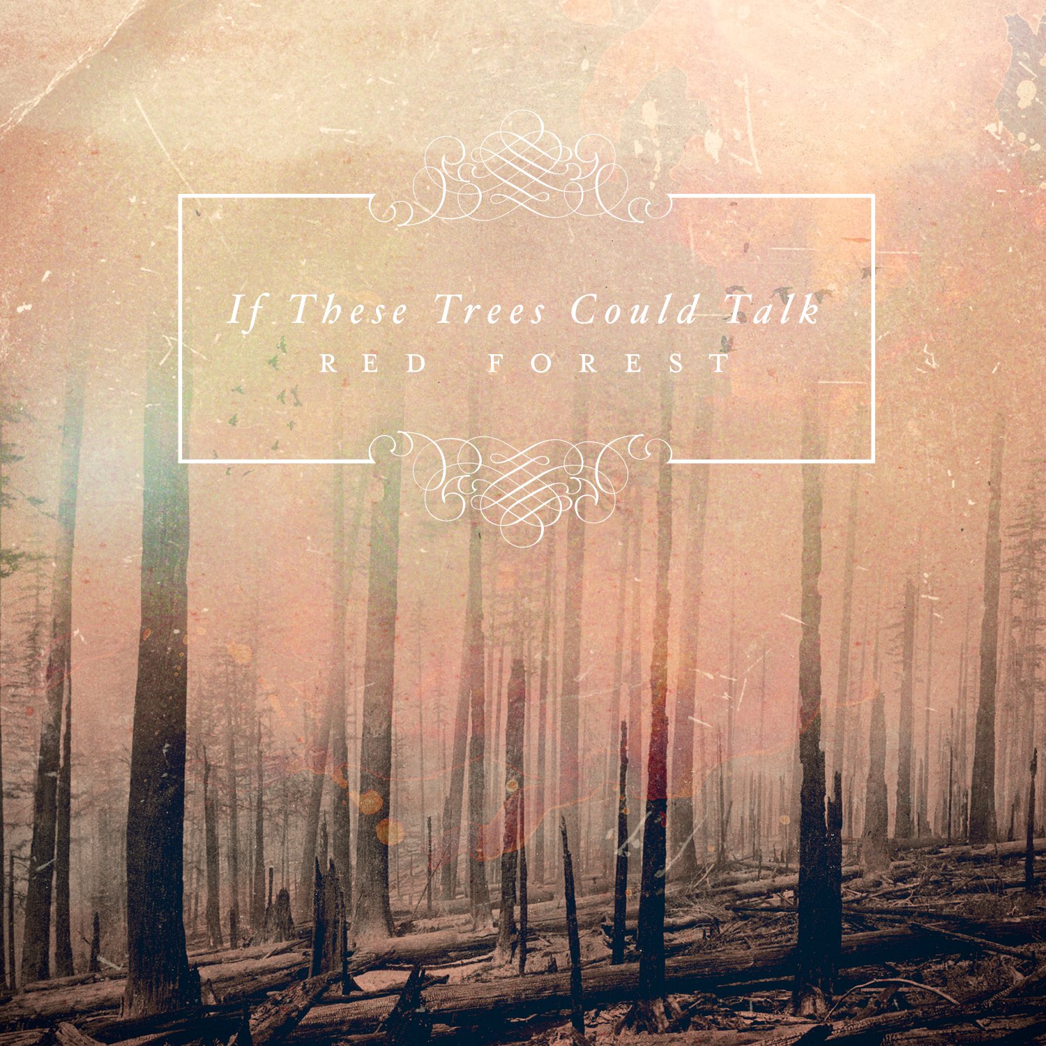 If These Trees Could Talk Cover