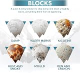 Polar Damp & Stain Block Spray 2x500ml Matt White Anti Mould Primer view 3
