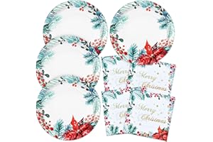 YY 10in Christmas Party Paper Plates Set Poinsettia Disposable Dinner Plates wiht 13in Napkins for 20 Person