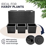 CASARIA Polyrattan Planter with Black Trellis 146x83x30.5 cm Set of 3 view 6