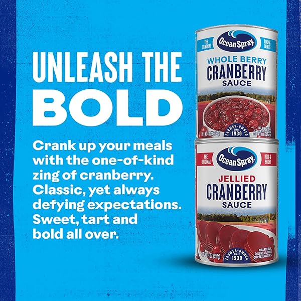 OCEAN SPRAY WHOLE CRANBERRY SAUCE, CANNED SIDE DISH, 14 OZ CAN (PACK OF 1)