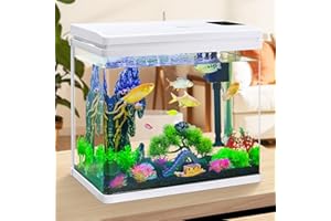 Binano 10 Gallon Beginner Betta Fish Tank Aquarium kit Intelligent Timed Shutdown, Seven LED Lights, Adjustable Brightness, High-Transparency Glass, Efficient Filtration