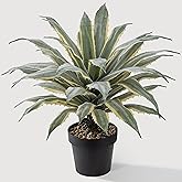 SUNPRAIRIE 32 Inch Tall Large Faux Agave Plant with Two-Tone Sawtooth Edged Leaves; Planted in Black Pot with Real Stone Pebbles. Large Artificial Plants Indoor and Outdoor.