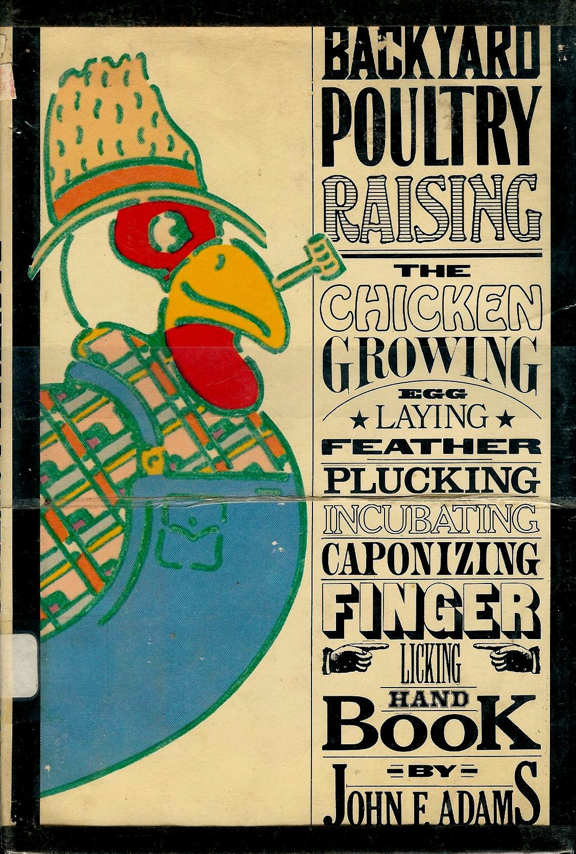 Backyard Poultry Raising The Chicken Growing Egg Laying Feather